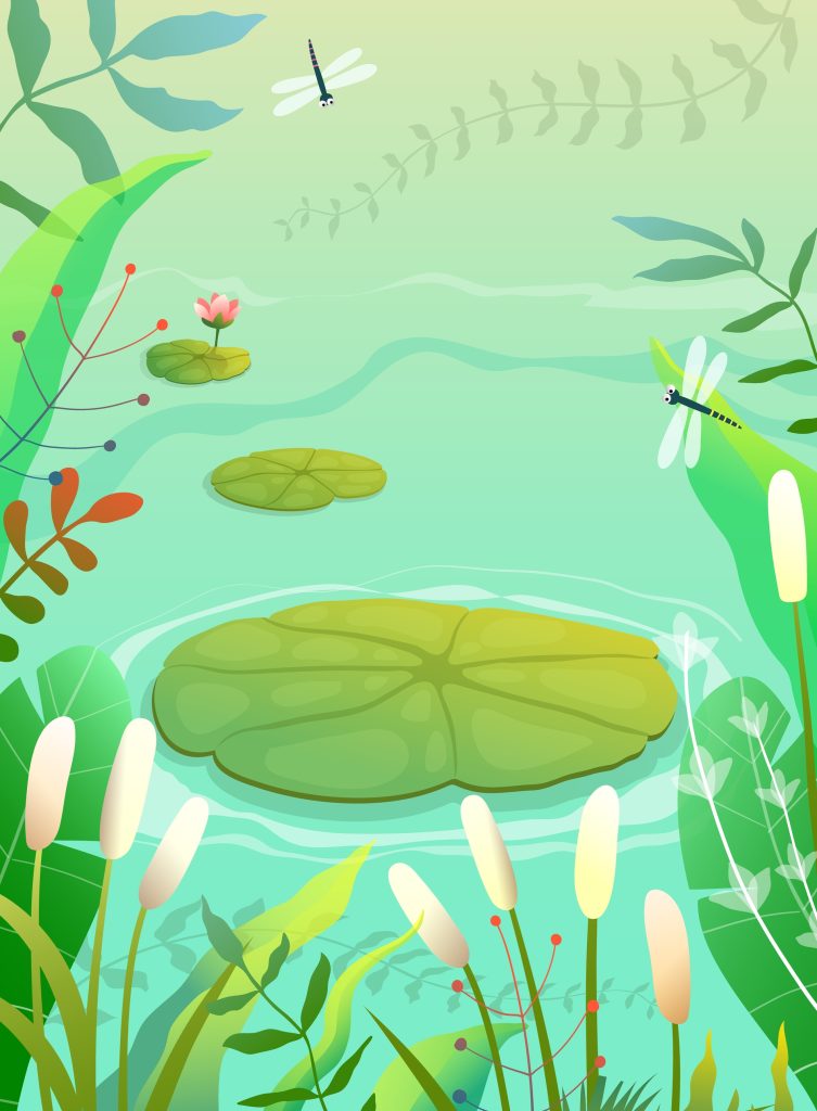 Pond,Swamp,Or,Lake,Scenery,Empty,Background,With,Waterlily